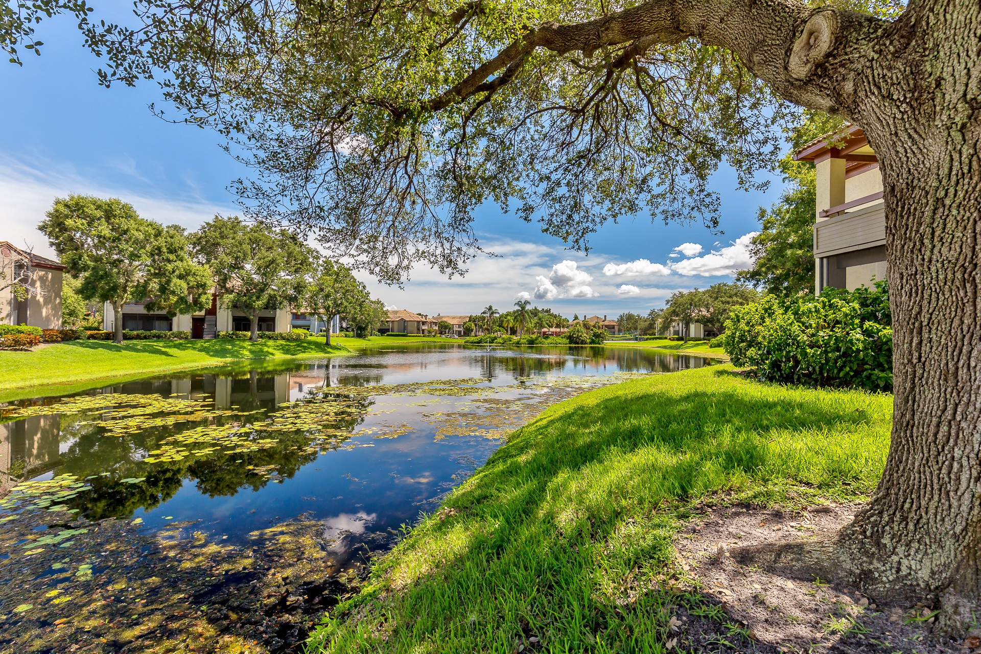 stress free property management