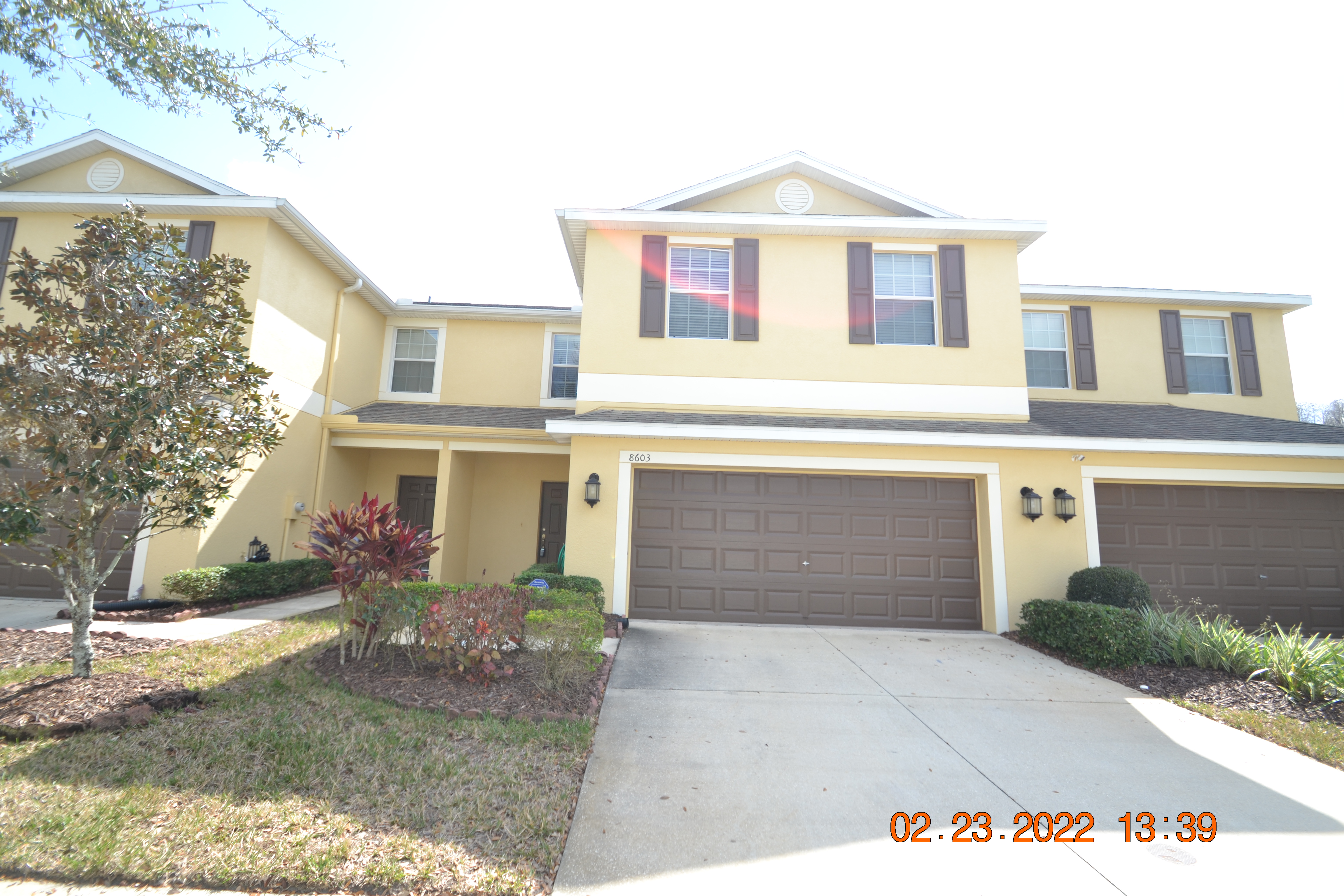 8603 Fiddleleaf Ct. Tampa, FL 33647