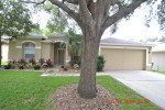 2713 Brookville Dr. Valrico, FL 33596